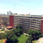 Control de sobrevivencia: IPS suspende modalidad presencial para realizar trámite