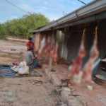 Policías estarían involucrados en supuesta caza furtiva de animales silvestres