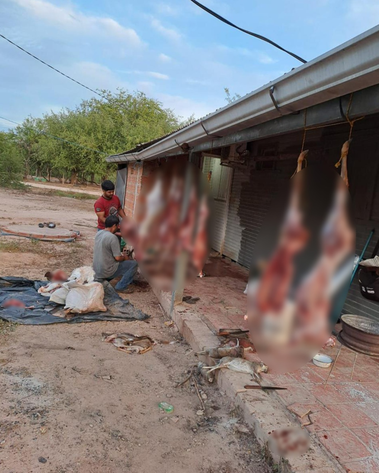 Policías estarían involucrados en supuesta caza furtiva de animales silvestres