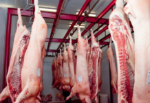 Paraguay se ubicó como tercer mayor proveedor de carne porcina a Taiwán hasta julio