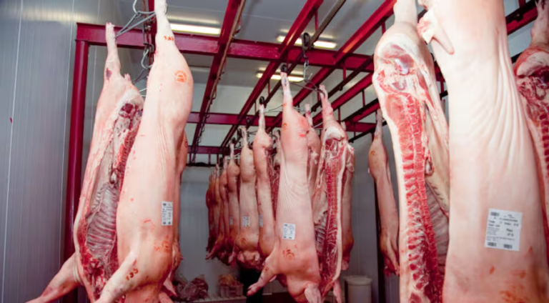 Paraguay se ubicó como tercer mayor proveedor de carne porcina a Taiwán hasta julio Paraguay se ubicó como tercer mayor proveedor de carne porcina a Taiwán hasta julio