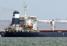 Aclaran que suba de tarifa de Milei es otro tipo de peaje para buques oceánicos