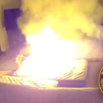 Perro causa incendio en su casa tras masticar batería de iones de litio