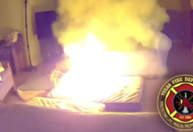 Perro causa incendio en su casa tras masticar batería de iones de litio