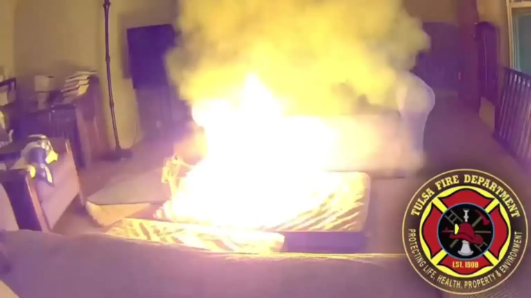 Perro causa incendio en su casa tras masticar batería de iones de litio