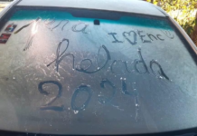 Pronostican heladas para este fin de semana en el Sur