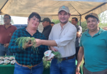 EBY entrega plantines de cebolla en la compañía de Valle Apu’a, Ñeembucú, para apoyar la diversificación productiva agrícola