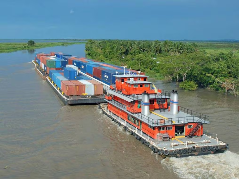 Paraguay logró conquistar ocho nuevos mercados de exportación en julio