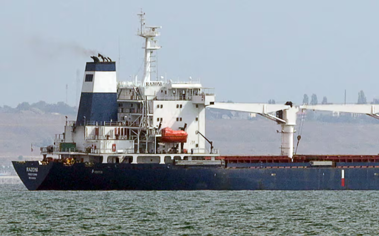 Aclaran que suba de tarifa de Milei es otro tipo de peaje para buques oceánicos