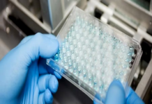 Paraguay puede ser un hub de la industria farmacéutica, dice embajador de Corea