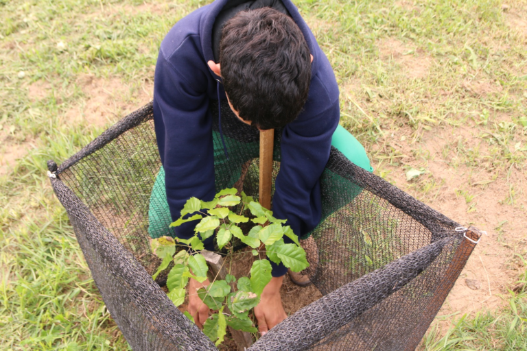 Positiva evaluación del Proyecto “Los Solidarios”, para arborizar espacios públicos de Pilar Positiva evaluación del Proyecto “Los Solidarios”, para arborizar espacios públicos de Pilar