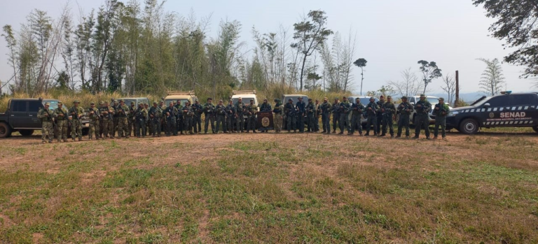Operación «Basalto III» cierra con un golpe de US$ 13,3 millones a traficantes de marihuana en Canindeyú Operación «Basalto III» cierra con un golpe de US$ 13,3 millones a traficantes de marihuana en Canindeyú