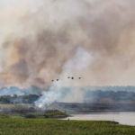 Ante mala calidad del aire, especialistas brindan recomendaciones