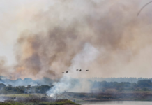 Ante mala calidad del aire, especialistas brindan recomendaciones