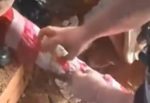 Hallan fusil de guerra y droga enterrados en el penal de Tacumbú