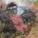 Jóvenes paraguayos desarrollan novedoso producto ecoamigable para combatir incendios
