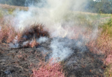 Jóvenes paraguayos desarrollan novedoso producto ecoamigable para combatir incendios