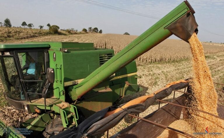 Campaña sojera podría cerrar con récord de más de 10 millones de toneladas, estima Capeco
