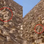 El perrito que sorprendió al mundo en la cima de la Pirámide de Giza en Egipto, logró bajar solito de las alturas