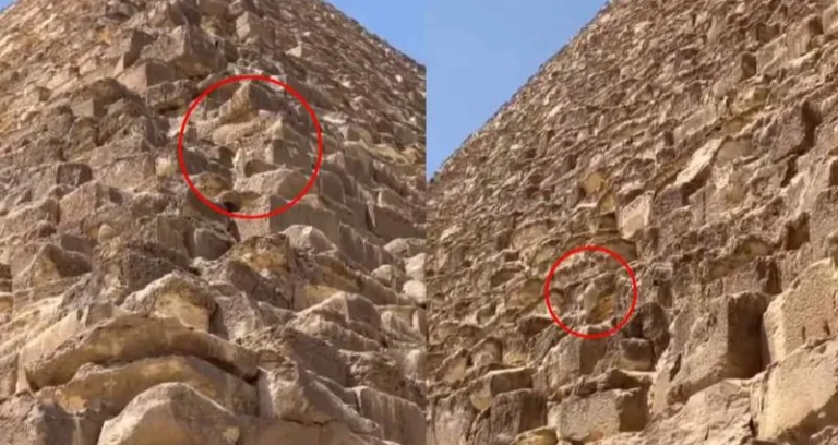 El perrito que sorprendió al mundo en la cima de la Pirámide de Giza en Egipto, logró bajar solito de las alturas