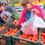 Histórico, Gobierno anuncia exportación de tomates a la Argentina