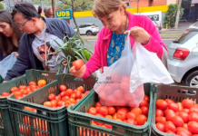 Histórico, Gobierno anuncia exportación de tomates a la Argentina