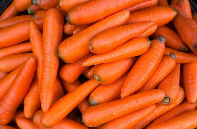 Productores de Itapúa continúan con exportación de zanahoria para el mercado argentino