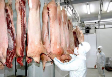 Paraguay proyecta exportar unas 8.500 toneladas de carne porcina a Taiwán