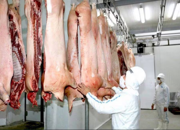Paraguay proyecta exportar unas 8.500 toneladas de carne porcina a Taiwán