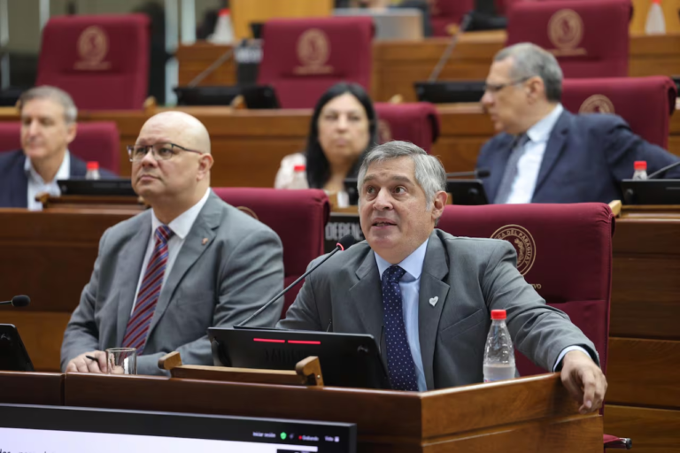 MEC pide al Congreso la aprobación de préstamo para edificar 316 escuelas