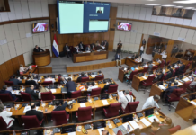 Senado aprueba en general la creación del Registro Unificado Nacional