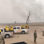 Mades impone multa de 20.000 jornales a responsables identificados de incendios en el Chaco