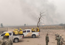 Mades impone multa de 20.000 jornales a responsables identificados de incendios en el Chaco
