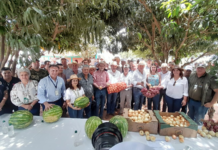 ENTREGA DE TRACTOR AGRÍCOLA IMPULSA LA PRODUCCIÓN DE PAPA, SANDIA Y CEBOLLA EN SAN PEDRO DEL PARANÁ
