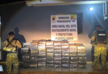 Incautan 1,7 toneladas de marihuana valuadas en más de USD 250.000, a orillas del lago Itaipu