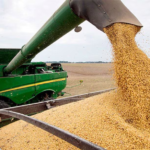 Exportación de granos de soja agudiza crisis de la industria aceitera, advierte Cappro