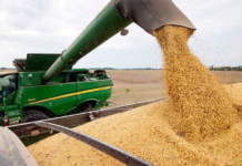 Exportación de granos de soja agudiza crisis de la industria aceitera, advierte Cappro