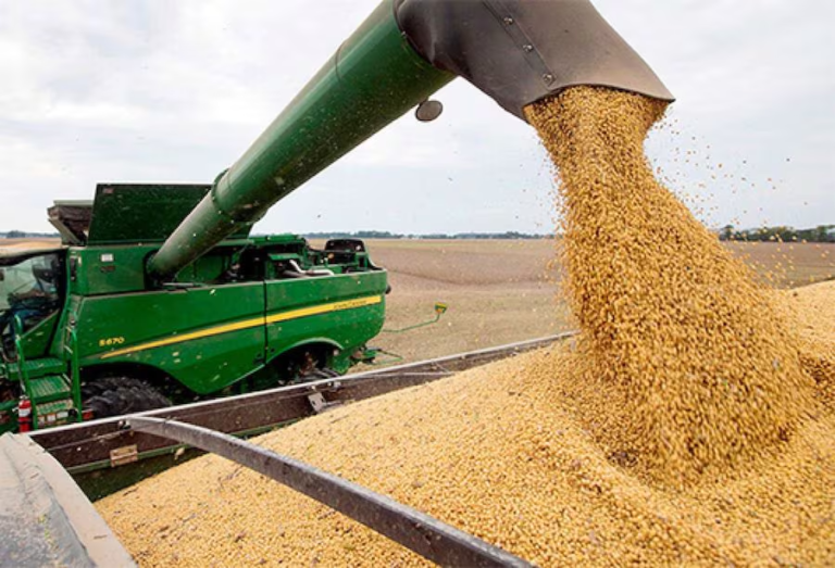 Exportación de granos de soja agudiza crisis de la industria aceitera, advierte Cappro