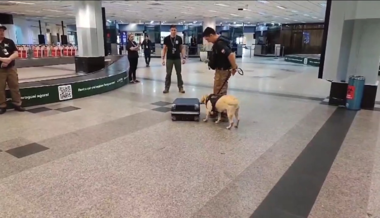 Can antidrogas impide que hombre viaje a Madrid con casi 5 kilos de cocaína Can antidrogas impide que hombre viaje a Madrid con casi 5 kilos de cocaína