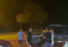 Joven casi muere aplastada tras ser embestida por su expareja en Hohenau