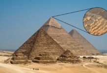 Captan a un perro en la cima de la Gran Pirámide de Giza en Egipto y nadie se explica cómo llegó allí