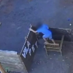 Conmoción en Brasil: niño ingresó a una veterinaria y mató a 23 animales