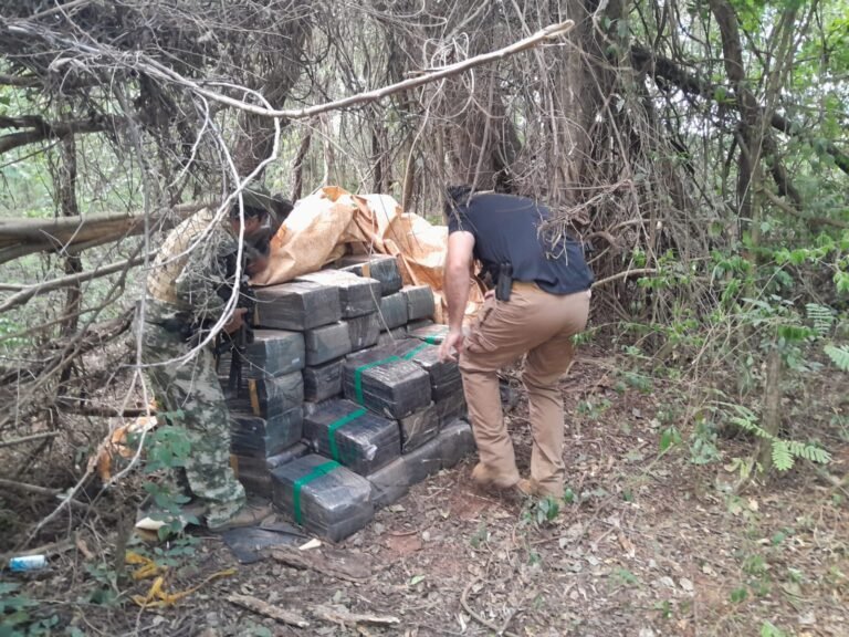 SENAD y FTC incautaron 1 tonelada de Marihuana en San Pedro