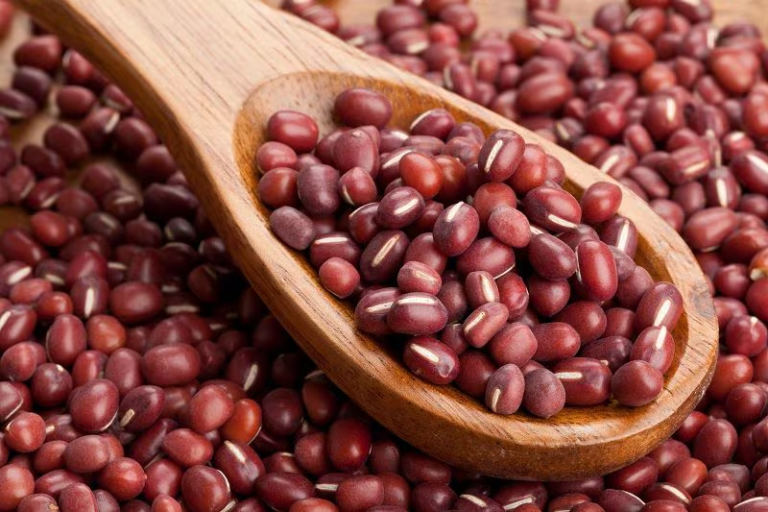 Escasez de porotos en el mercado local tras fuertes períodos de sequía Escasez de porotos en el mercado local tras fuertes períodos de sequía