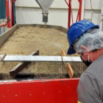 Ley cannabis: “El problema no es quién lo cultiva, sino quién lo maneja”, señalan