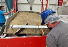 Ley cannabis: “El problema no es quién lo cultiva, sino quién lo maneja”, señalan