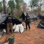 Operativo Cerrojo: golpe al narcotráfico con más de 6 toneladas de marihuana incautadas en Canindeyú