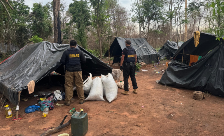 Operativo Cerrojo: golpe al narcotráfico con más de 6 toneladas de marihuana incautadas en Canindeyú