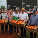 Paraguay ya exportó más de 1.100.000 kg de tomate a Argentina