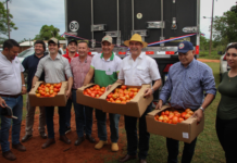 Paraguay ya exportó más de 1.100.000 kg de tomate a Argentina